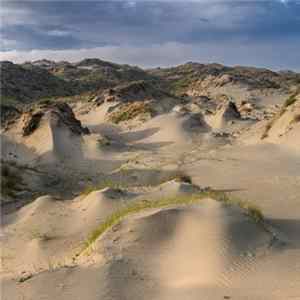 White Manna - Dune Worship FLAC