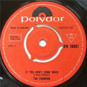 The Voomins - If You Don't Come Back FLAC