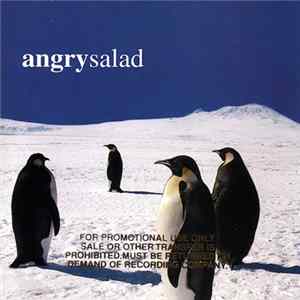 Angry Salad - Angry Salad FLAC