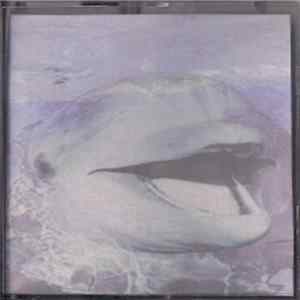 Dolphins Into The Future - Voyage Series Pt1 FLAC