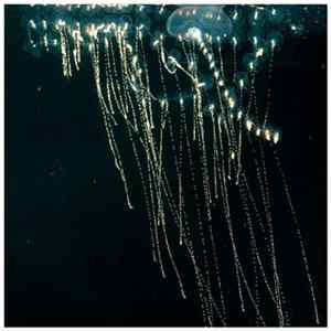 Ivy Bells - Sculptures FLAC