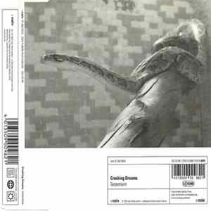 Crashing Dreams - Serpentaire FLAC