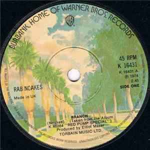 Rab Noakes - Branch FLAC