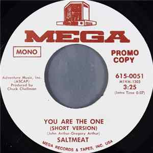 Saltmeat - You Are The One FLAC
