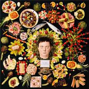 Sweet Baboo - Wild Imagination FLAC