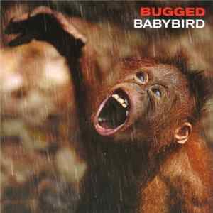 Babybird - Bugged FLAC