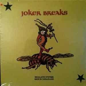 Unknown Artist - Joker Breaks FLAC