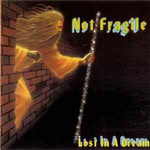 Not Fragile - Lost In A Dream FLAC