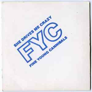 Fine Young Cannibals - She Drives Me Crazy FLAC
