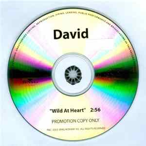 David - Wild At Heart FLAC