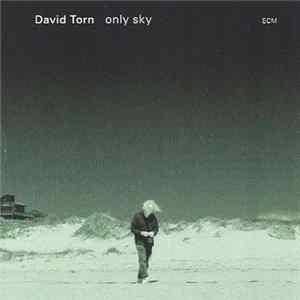 David Torn - Only Sky FLAC